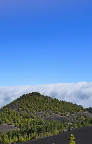 La Palma Tour